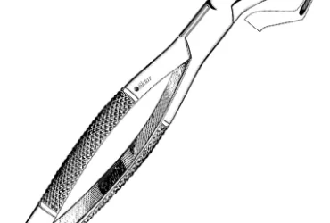 Sklar Dental Extracting Forceps #65 EACH