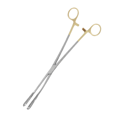 MedGyn Agadi-Bierer Ovum Forceps