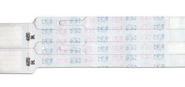 344S49PDL PDC SNUGFIT 4 PART ID BAND, BEARS, 100/CS