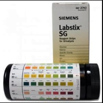 Labstix Reagent Test Strip (100 count)