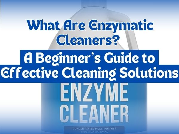 What Are Enzymatic Cleaners? A Beginner’s Guide to Effective Cleaning Solutions