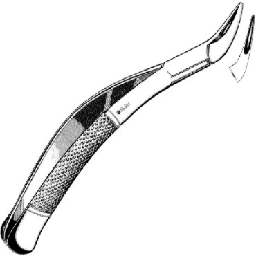 Sklar Dental Extracting Forceps #62 EACH