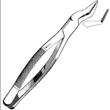 Sklar Dental Extracting Forceps #65 EACH
