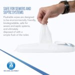 1322 WIPE, WET FLUSHABLE ADULT 9X13