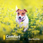 EasyTouch® Vet U-40 Insulin Syringe – 31G x ½", 0.3cc, for Pets, 100/BOX | 500/CASE