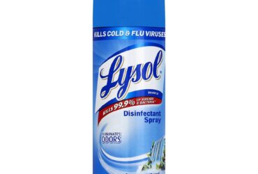 LAGASSE RAC02845 Lysol® Disinfectant Spray - Spring Waterfall Scent, 12.5 oz