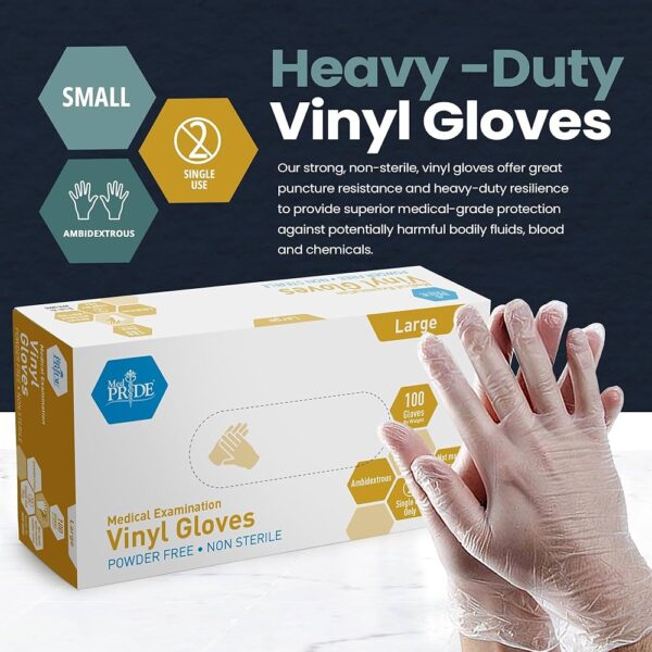Vinyl Exam Gloves In A Bag, Large, Powder-Free, Clear, 500/2pr/cs