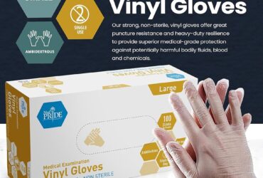 Vinyl Exam Gloves In A Bag, Large, Powder-Free, Clear, 500/1pr/cs