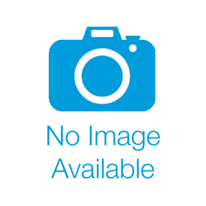 Dynarex RPLTC-02BR1 12001 Backrest Motor, Gray, 1