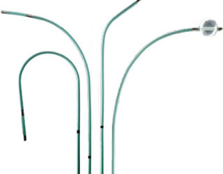 401767 PACEL™ Bipolar Pacing Catheter 6F x 110cm